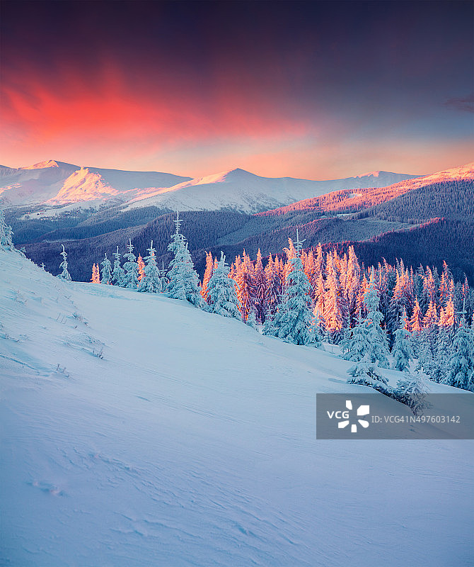 喀尔巴阡山脉五彩缤纷的冬季景色。图片素材