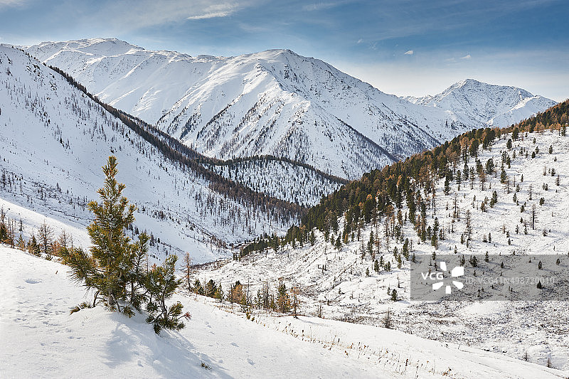 美丽的冬季风景，阿尔泰山俄罗斯。图片素材