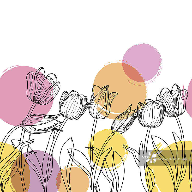 黑白手绘郁金香花和水彩斑点。图片素材