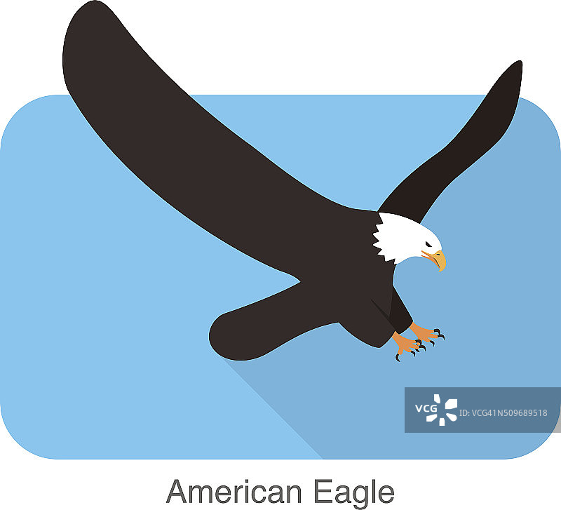 美国鹰飞，向量图片素材