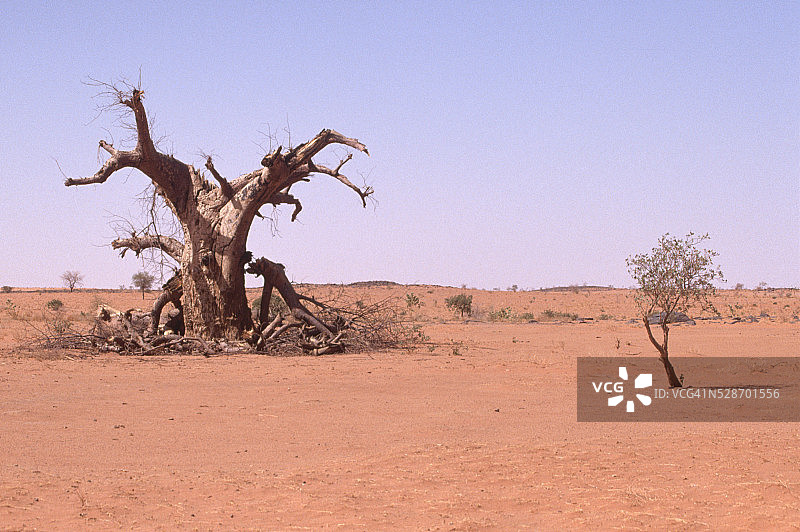 苏丹沙漠地区图片素材