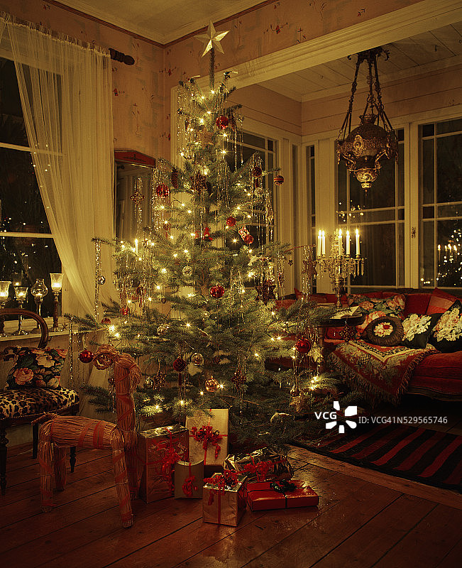 客厅里的圣诞树图片素材