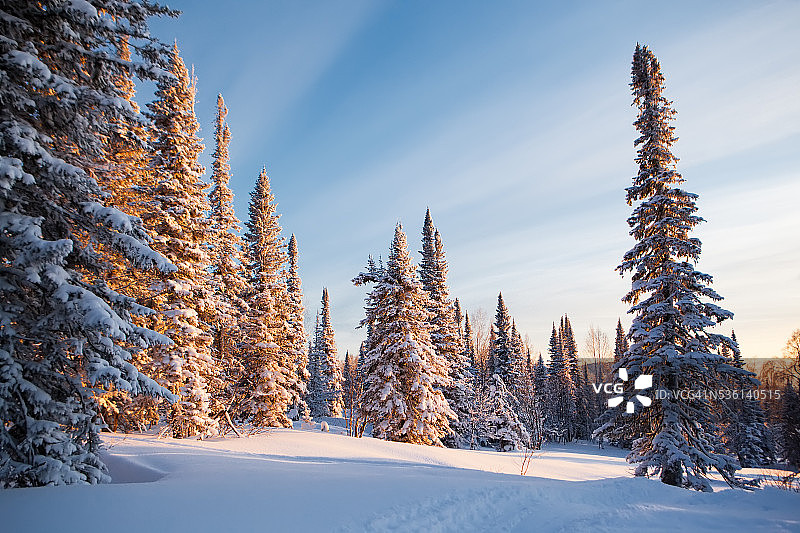 冬季森林日落图片素材