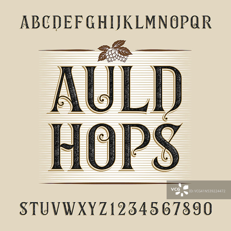 Auld hops字母向量字体。图片素材