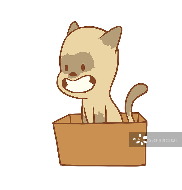 可爱的小猫坐在橙色的盒子里，彩色的形象图片素材