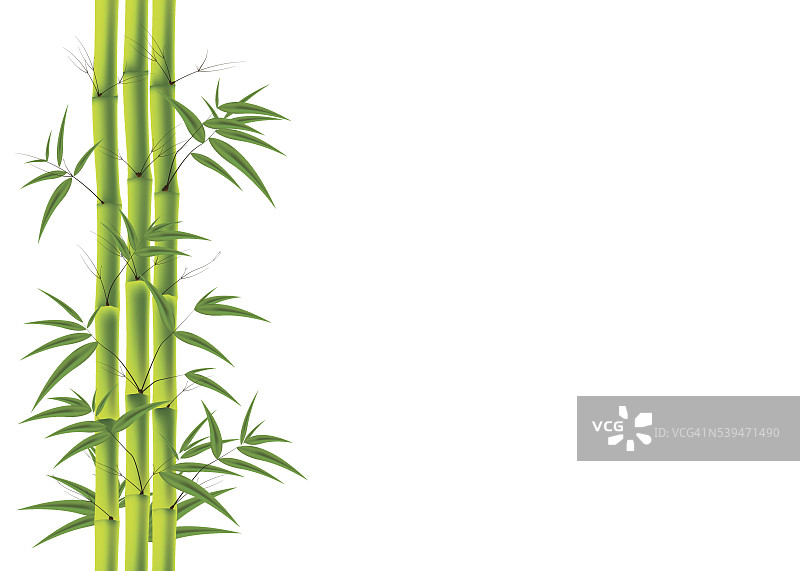 竹子的背景图片素材