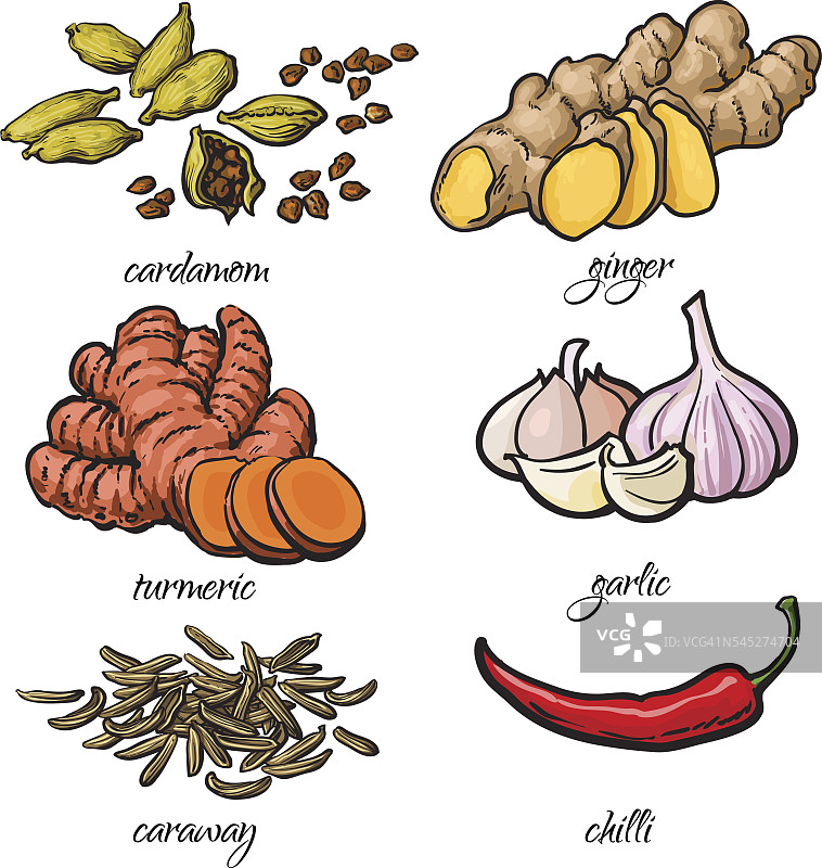 小品风格香料-大蒜，姜，姜黄，豆蔻，辣椒，葛缕子图片素材