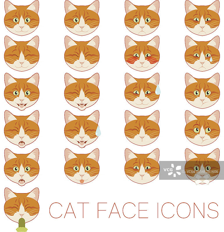 一组猫脸图片素材