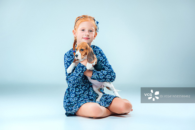 灰色背景上的快乐女孩和一只小猎犬图片素材