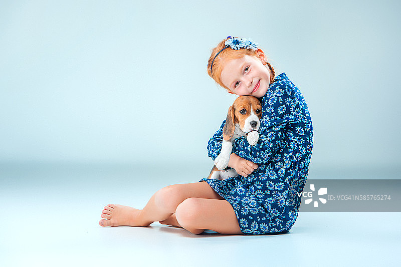 灰色背景上的快乐女孩和一只小猎犬图片素材