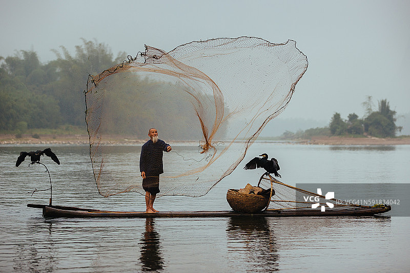 中国传统的高级渔民在中国漓江投渔网图片素材
