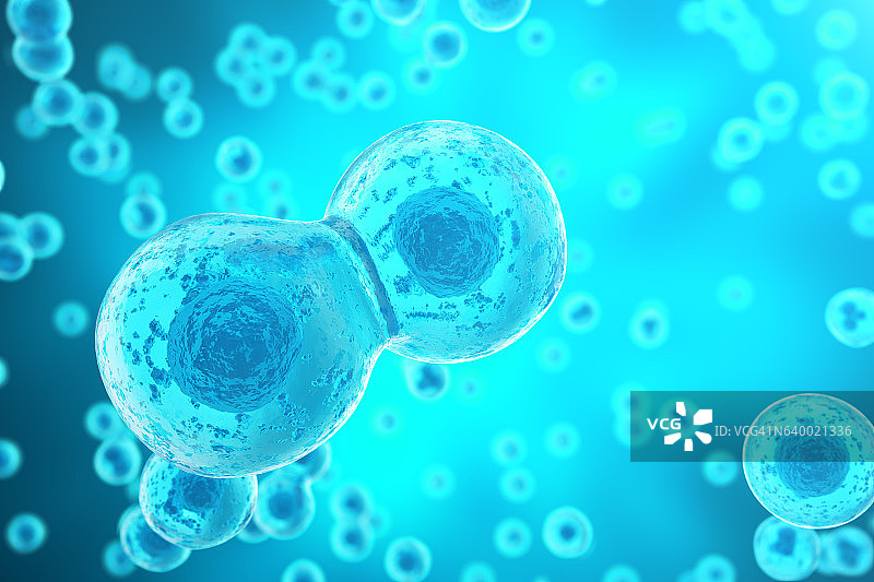 蓝色单元格背景。生命生物学、医学科学、分子研究图片素材