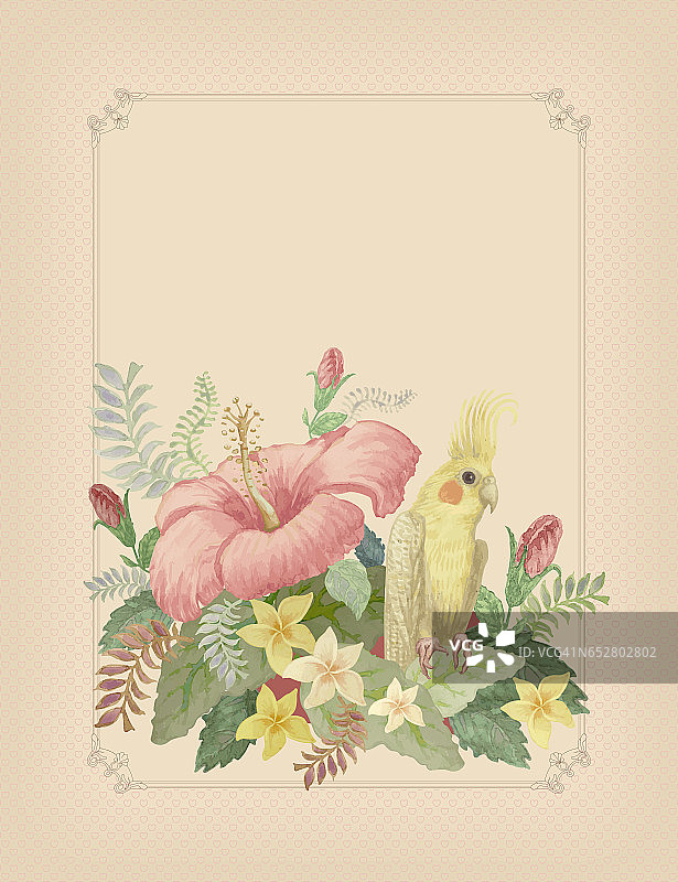 垂直插图黄色的澳大利亚鹦鹉科瑞拉，热带树叶和粉红色的木槿花在一个浅米色背景的金色框架。丛林叶，紫丁香植物。婚礼请柬，母亲节贺卡，生日贺卡图片素材