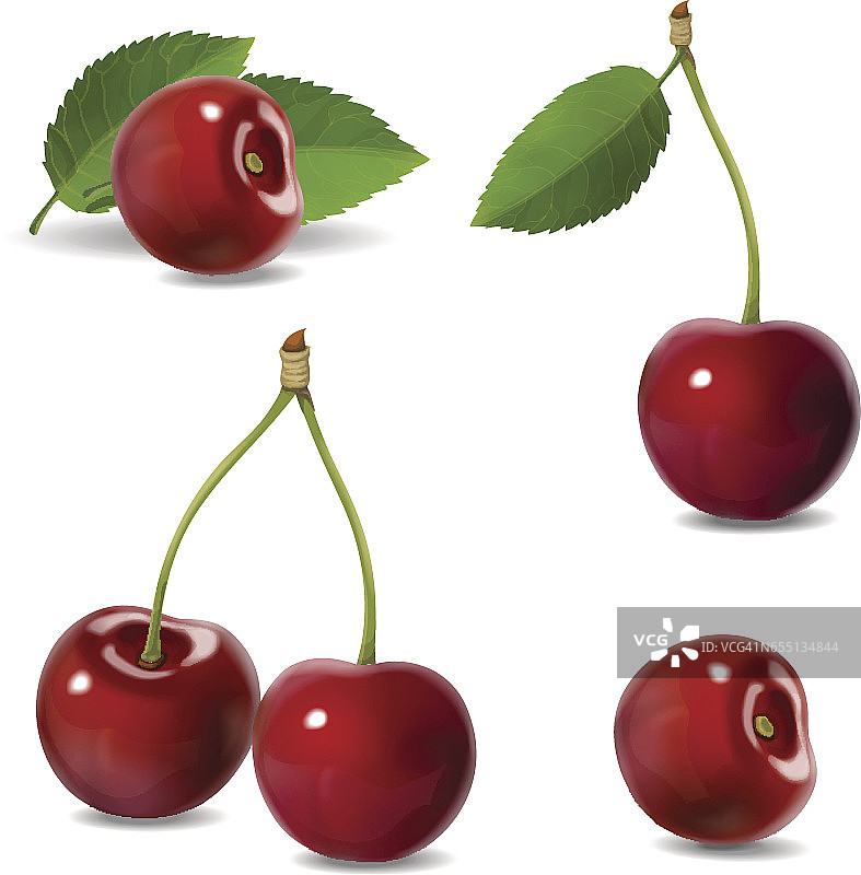 樱桃逼真的水果矢量图标集。孤立的插图图片素材