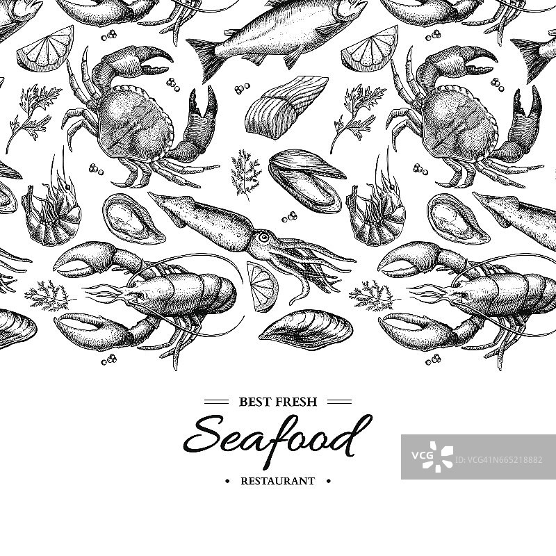 海产品手绘矢量框插图。蟹，龙虾，虾，牡蛎，贻贝，鱼子酱和鱿鱼。图片素材