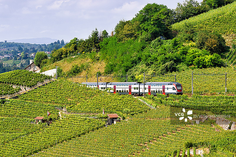 在瑞士拉沃葡萄园梯田徒步旅行的火车图片素材