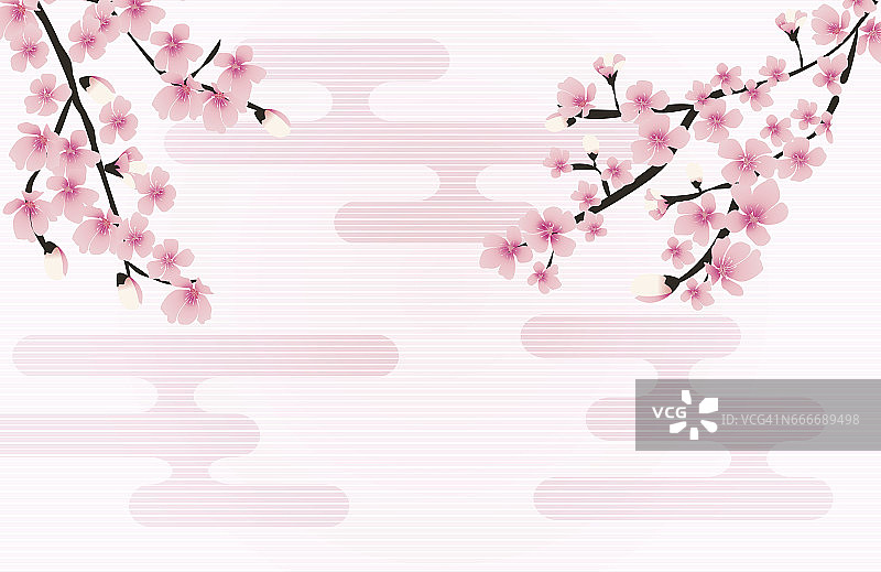 樱花花日本自然背景向量图片素材