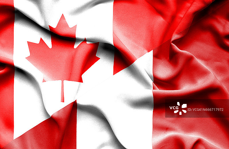 挥舞着秘鲁和加拿大的旗帜图片素材