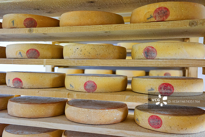 窖藏奶酪中陈年奶酪的堆积图片素材