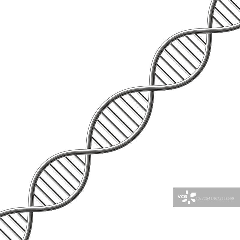 DNA的象征。矢量图图片素材