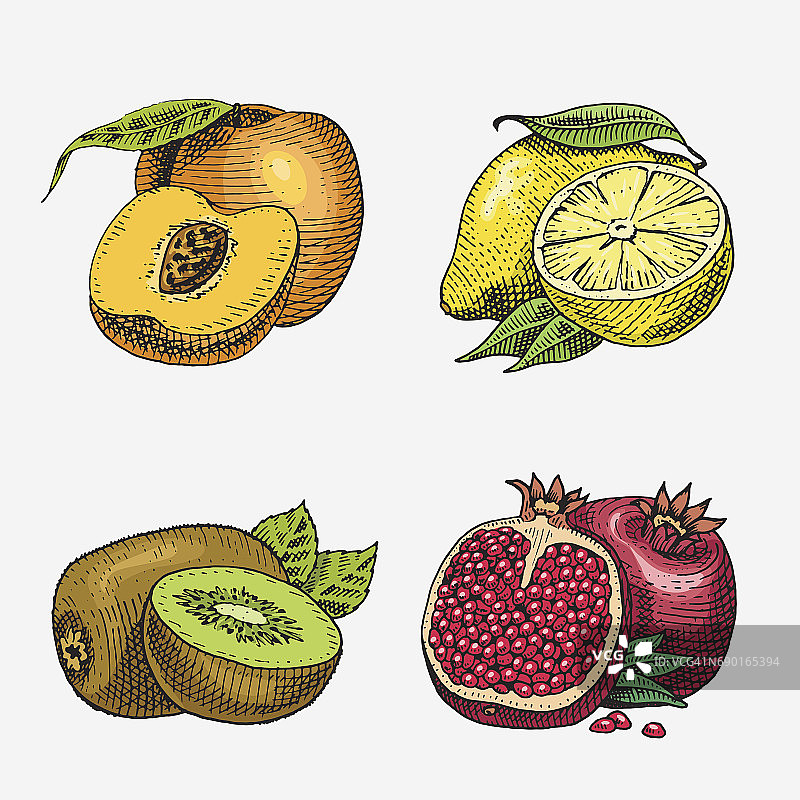 一套手绘，雕刻新鲜水果，素食食品，植物，复古看着猕猴桃，桃子黄柠檬和石榴图片素材
