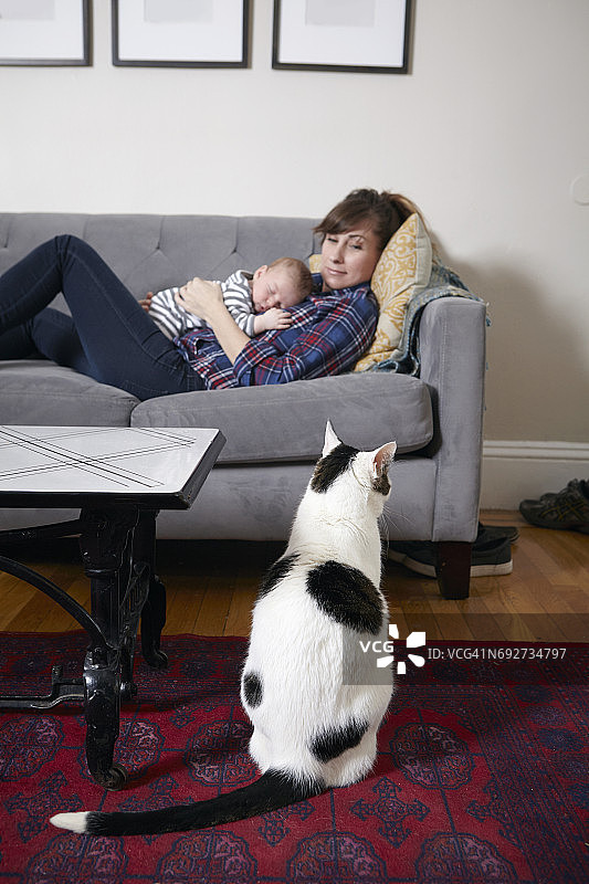 妈妈和小男孩躺在沙发上看着小猫图片素材