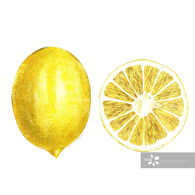 水彩黄色的柠檬。手绘水彩元素为您的设计。孤立在白色的。图片素材