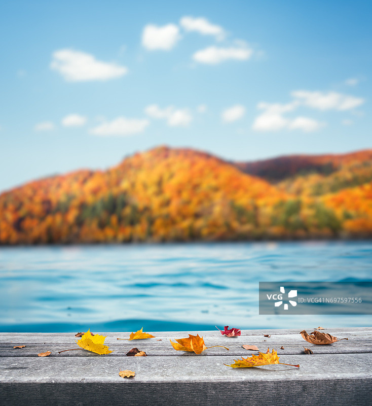 秋天的背景与树叶在长凳上图片素材