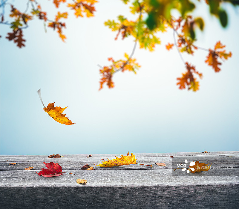 秋天的背景与落叶图片素材