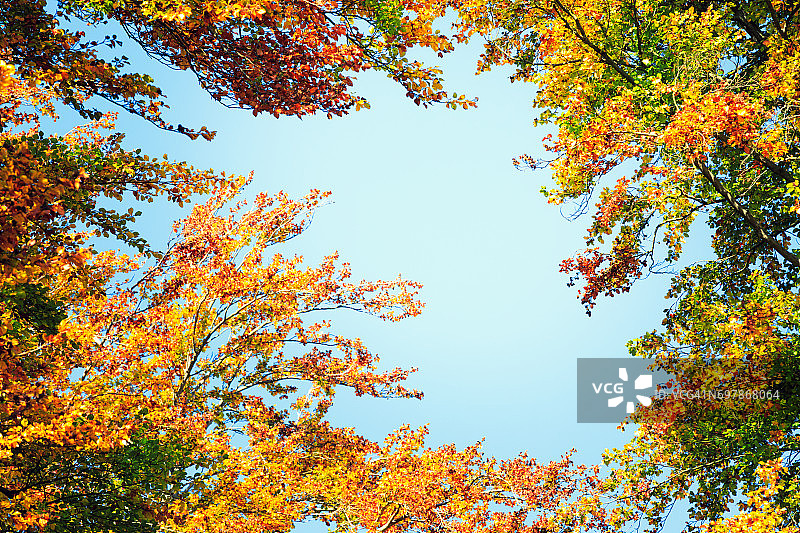 丰富多彩的秋天框架图片素材