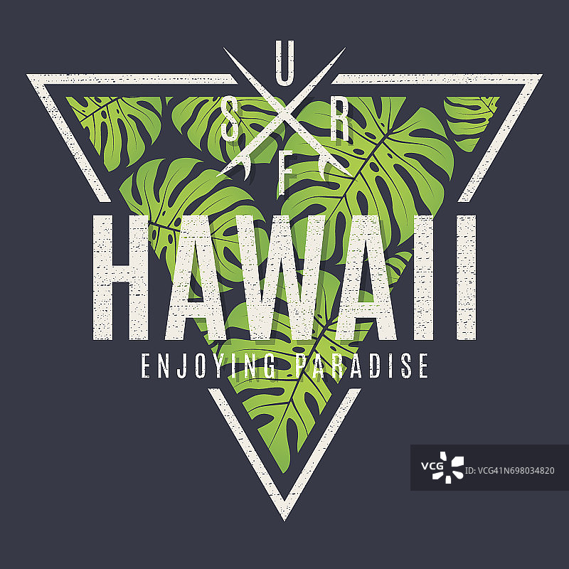 夏威夷t恤印有热带树叶。图片素材