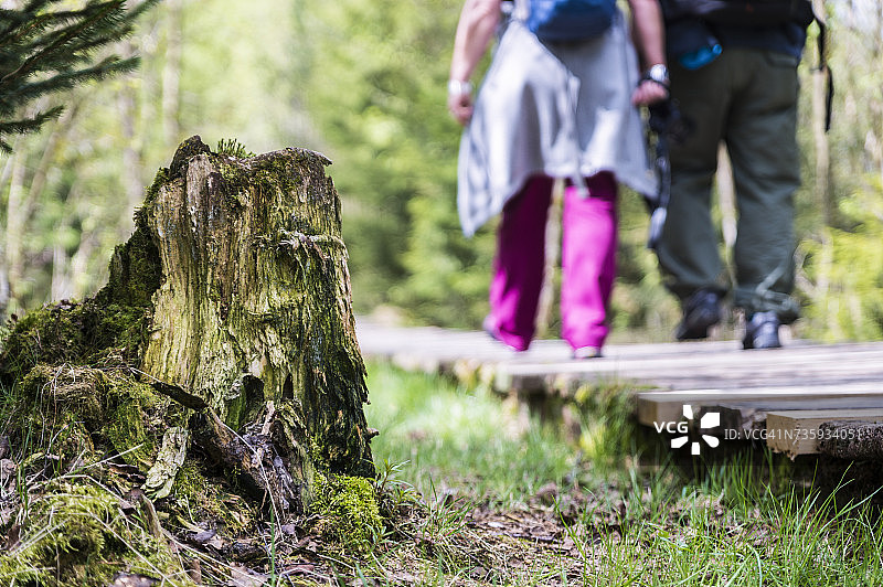 德国，富尔达，罗恩，两个徒步旅行者在森林的木板路上图片素材