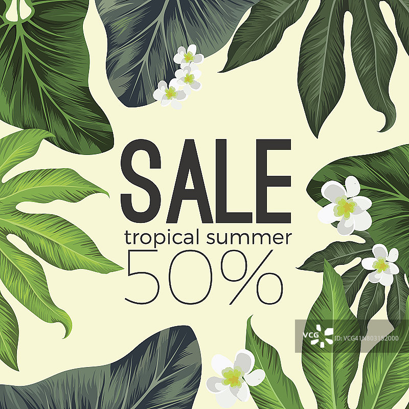 热带夏季销售横幅与鲜花和树叶图片素材