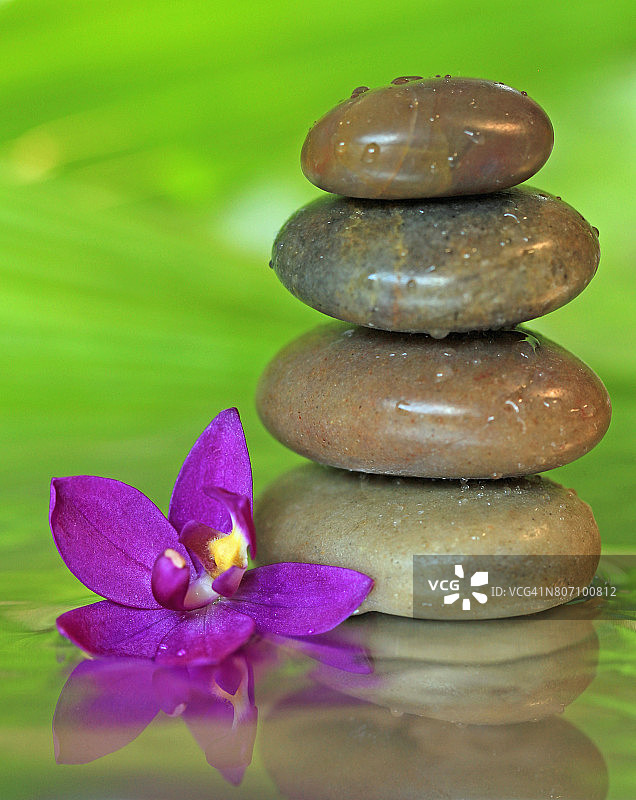 一堆禅宗的石头和一株紫色的兰花在绿色的背景图片素材