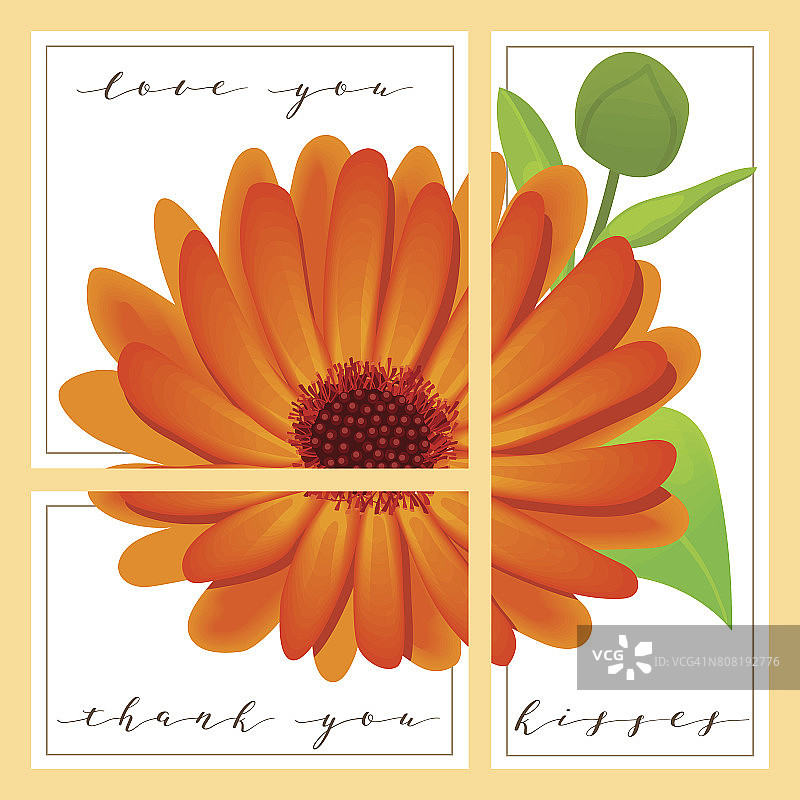 一套卡片上写着爱你和谢谢你，金盏花在背景上图片素材