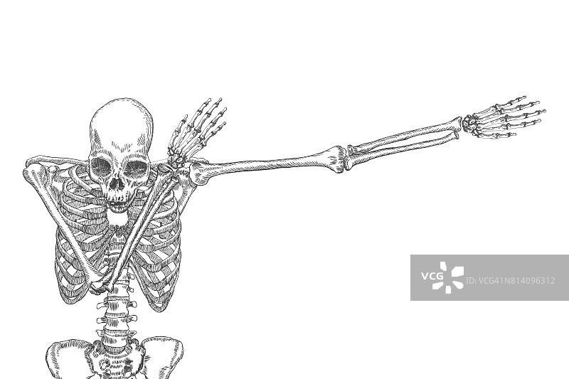 人体骨骼舞蹈DAB，表演轻拍动作，在白色背景上摆姿势。向量。图片素材