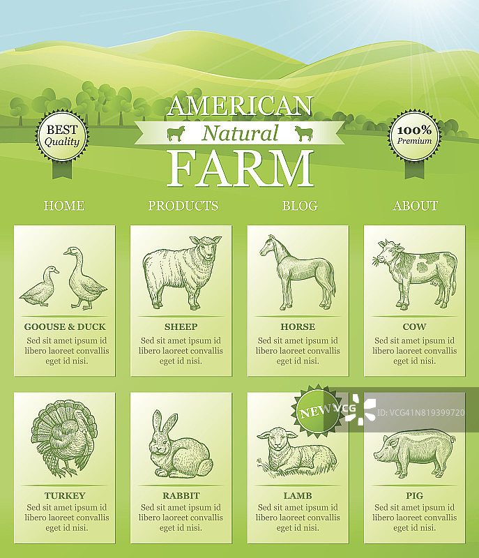 美国农场登陆网站以明亮的风景，农场动物的剪影。矢量模板的网站设计图片素材