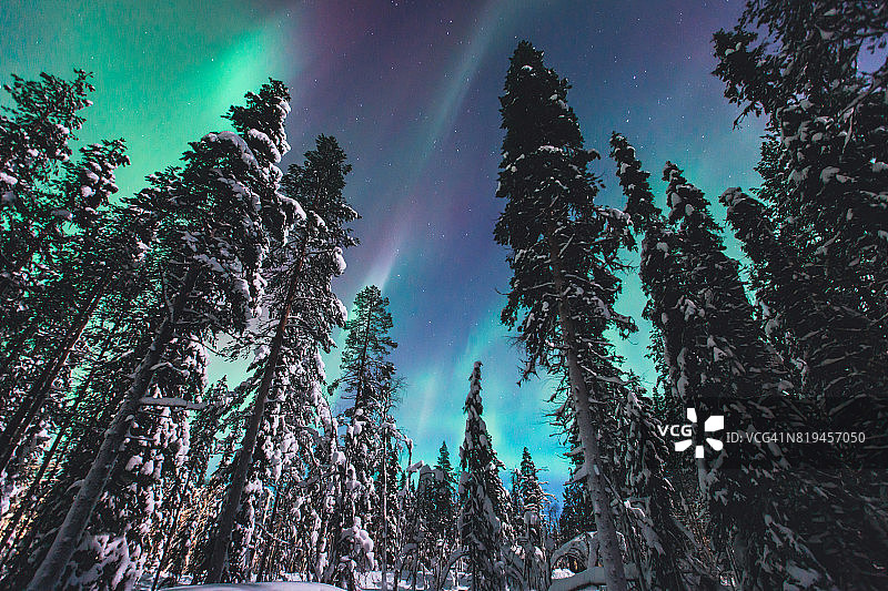 这是一幅美丽的图片，图片上是巨大的、五彩绿色的、充满活力的北极光，北极光也被称为北极光，在冬季挪威的拉普兰上空图片素材