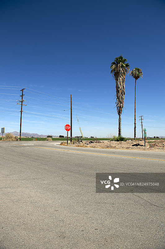 美国加州河滨县布莱斯的棕榈树和停车路标图片素材