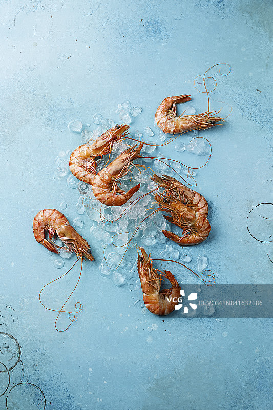 水煮粉红虎虾虾冰在蓝色的背景图片素材