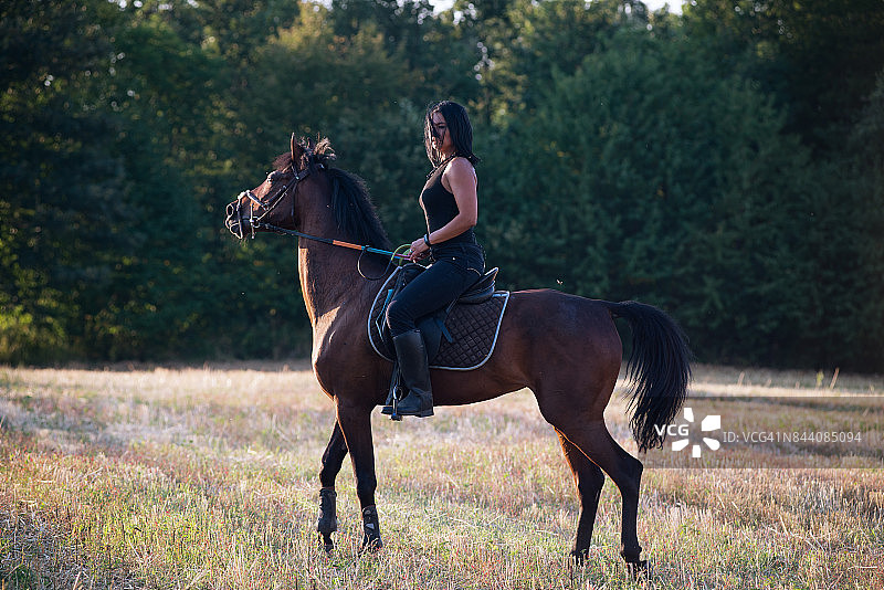 夕阳中骑马的女人图片素材