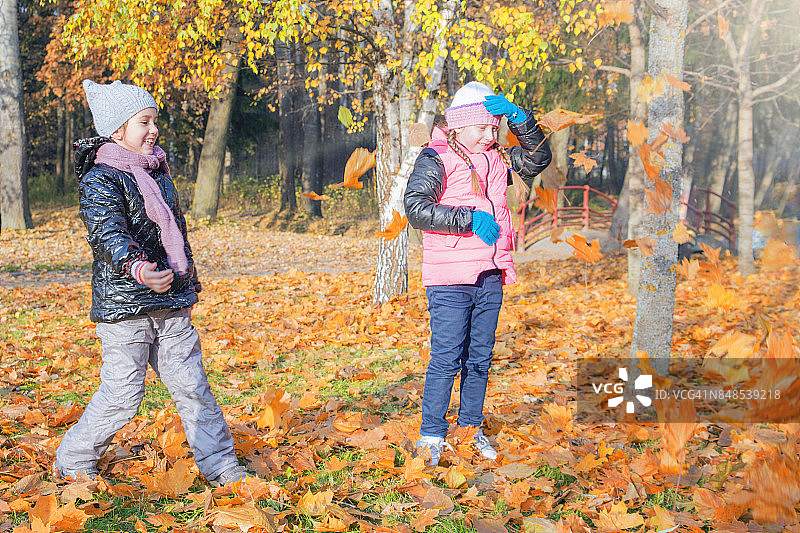 孩子们在秋天公园玩。树上的落叶。图片素材