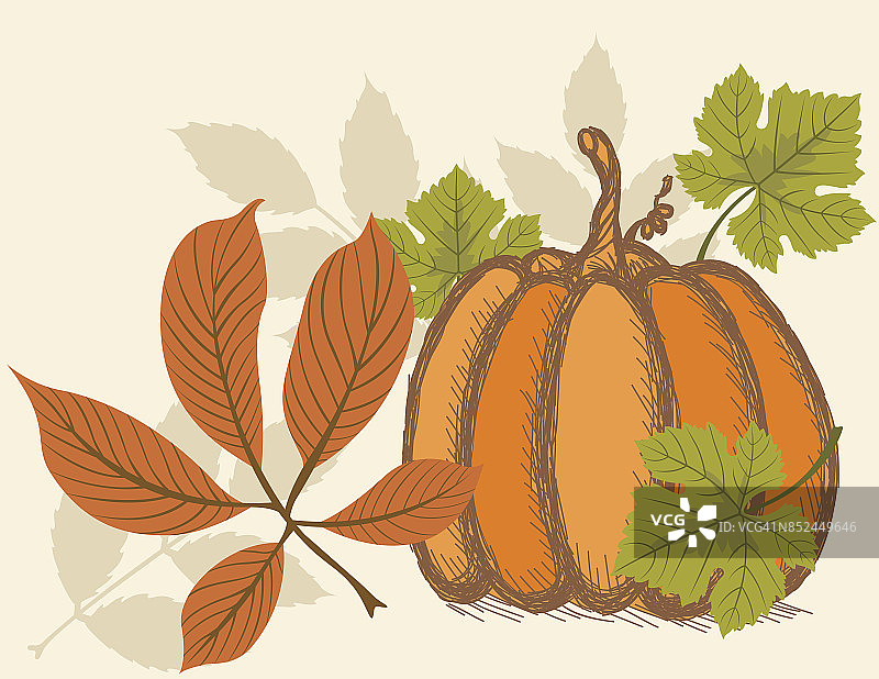 秋天南瓜背景与秋天的叶子图片素材