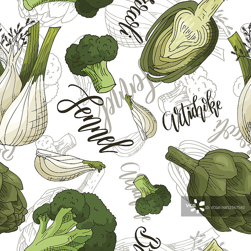 矢量无缝模式与蔬菜。茴香，朝鲜蓟和西兰花背景。手绘元素图片素材
