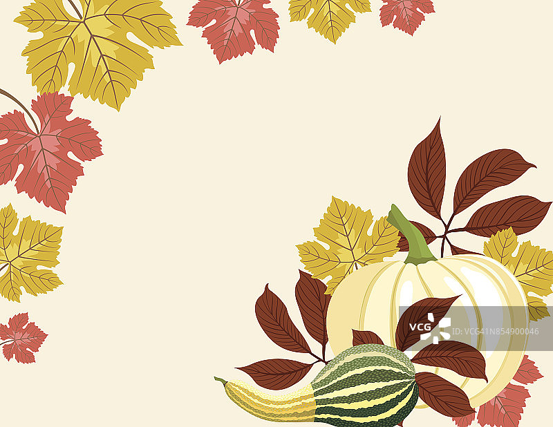 秋天南瓜背景与秋天的叶子，复制空间图片素材