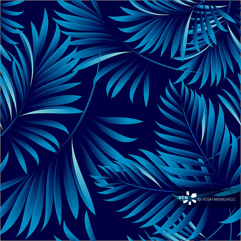 热带棕榈叶，丛林叶。矢量花图案背景。图片素材