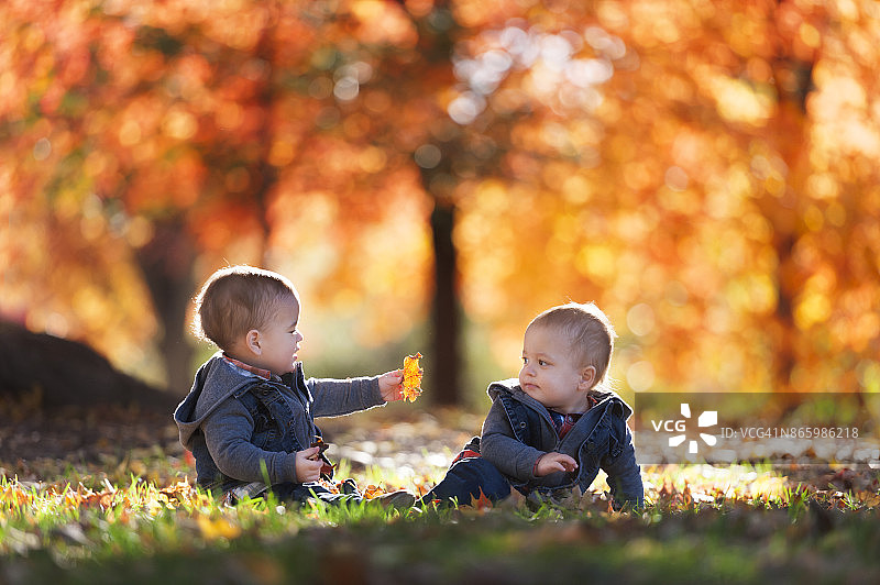 一对15个月大的异卵双胞胎在一起玩耍，一个男孩试图把一片叶子递给另一个男孩图片素材