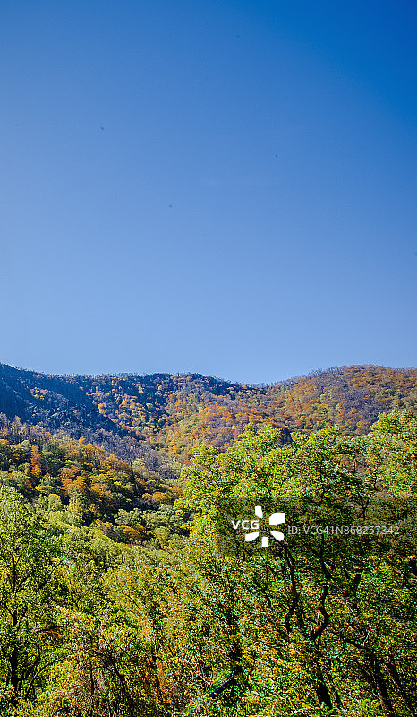 秋天的森林和山与蓝天图片素材