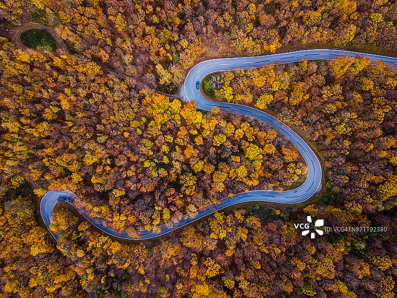 无人机:空中公路之旅——五彩缤纷的秋天森林里弯曲的乡村公路图片素材