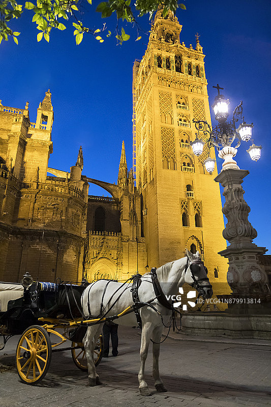 塞维利亚大教堂的马车。西班牙图片素材